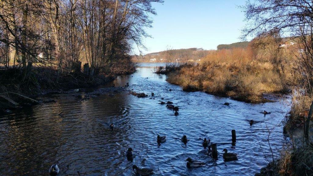 Ferienwohnung Am Sorpesee Allendorf  Экстерьер фото