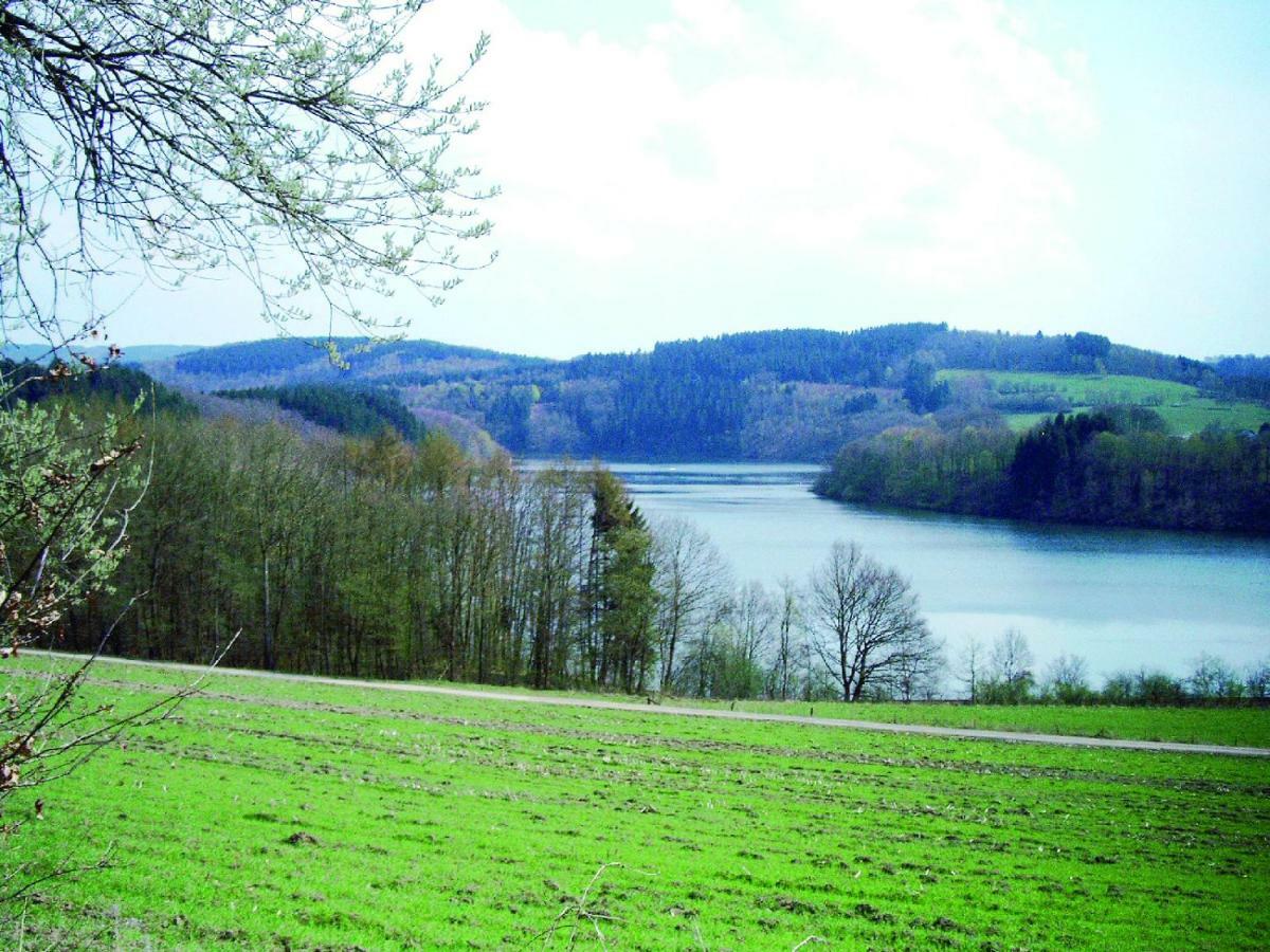 Ferienwohnung Am Sorpesee Allendorf  Экстерьер фото