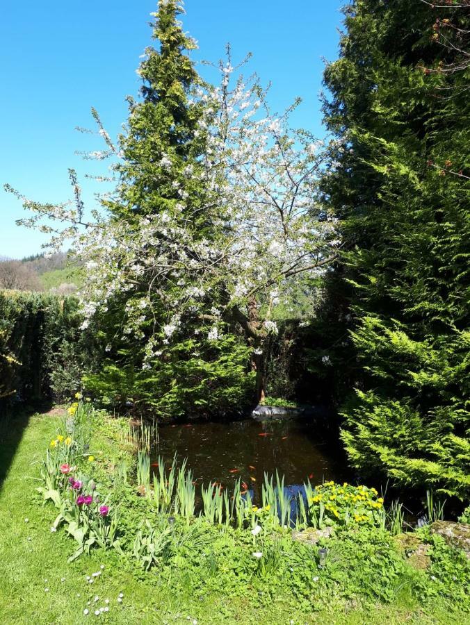 Ferienwohnung Am Sorpesee Allendorf  Экстерьер фото